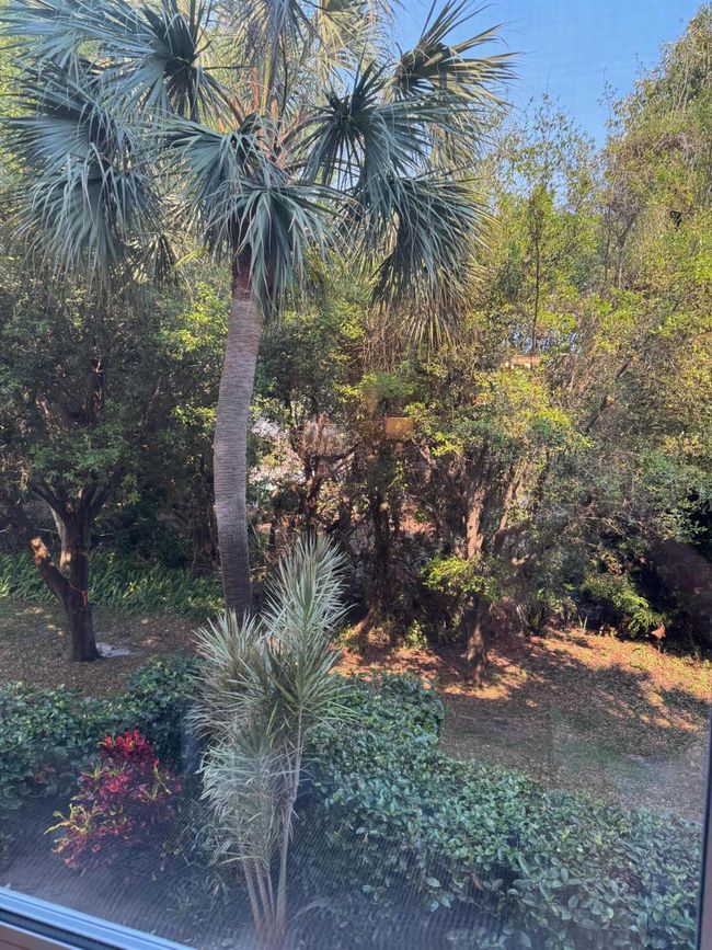 APT-110202 - 2950 Se Ocean Blvd, Condo with 2 bedrooms, 2 bathrooms and null parking in Stuart FL | Image 18