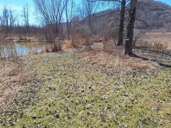 S4985 S Creek Rd, House other with 3 bedrooms, 2 bathrooms and null parking in Genoa WI | Image 36