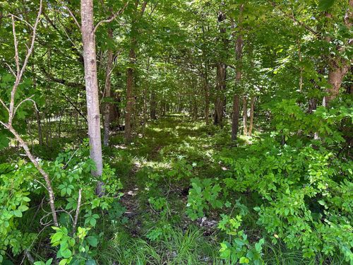 32 Smokey Ln, Battle Lake, MN, 56515 | Card Image