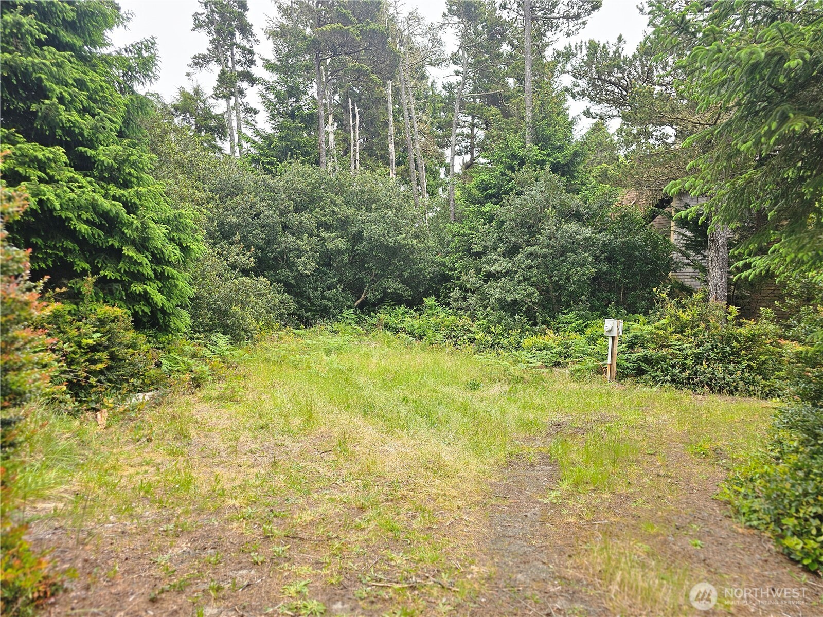 Land in Ocean Park 4