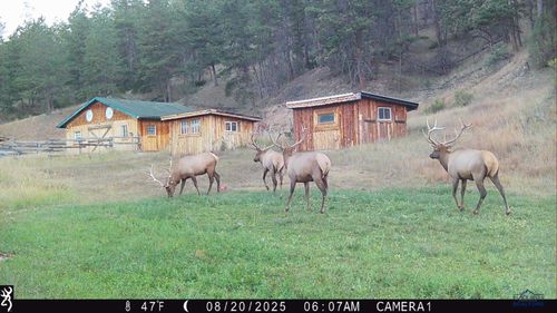 TBD Hot Brook Canyon Rd, Hot Springs, SD, 57747 | Card Image