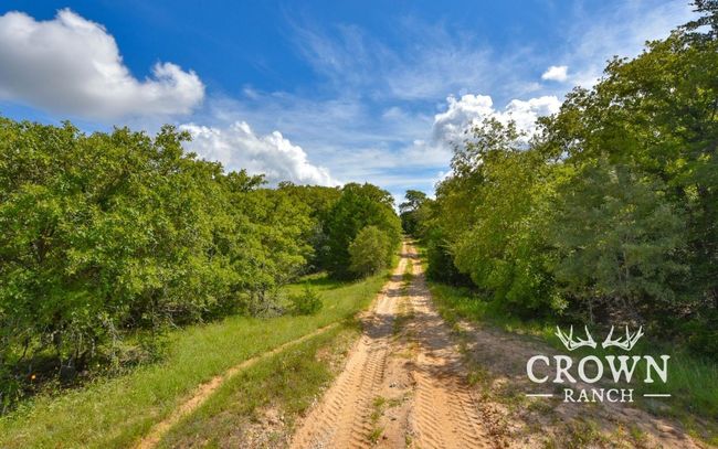 View of dirt / gravel road with a view of trees | Image 11