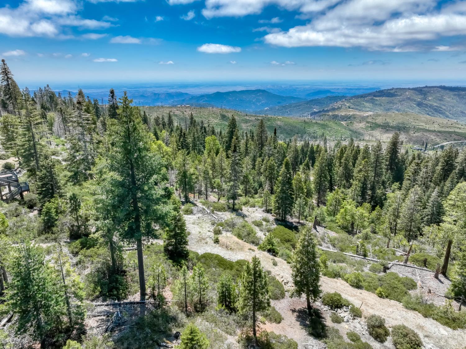 Land in Shaver Lake 3
