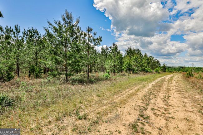 0 Kemp Rd, Home with 0 bedrooms, 0 bathrooms and null parking in Buena Vista GA | Image 26
