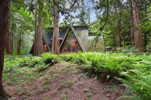 {{alt}} | Card Image