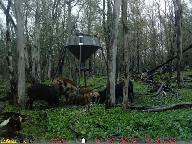 View of yard | Image 19
