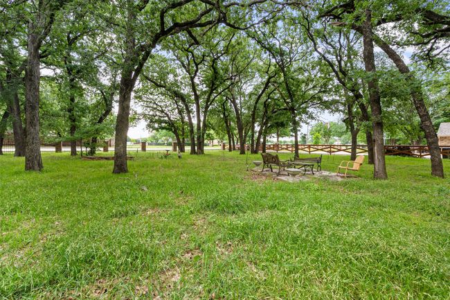 View of yard | Image 4