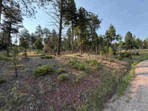 Lot 1581 Luna Dr, Angel Fire, NM, 87710 | Card Image