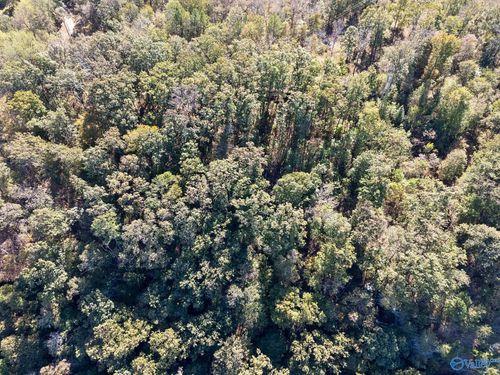 Lot 4 County Road 224, Dutton, AL, 35744-7206 | Card Image