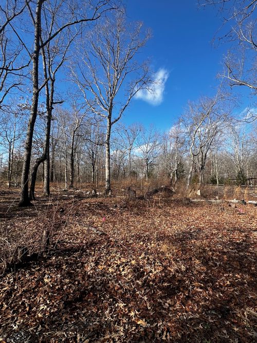 0 Bull Run Rd, Beechgrove, TN, 37018 | Card Image