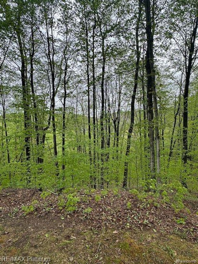 3624 Windy Hollow Rd Nw, House other with 4 bedrooms, 2 bathrooms and null parking in Rapid City MI | Image 7