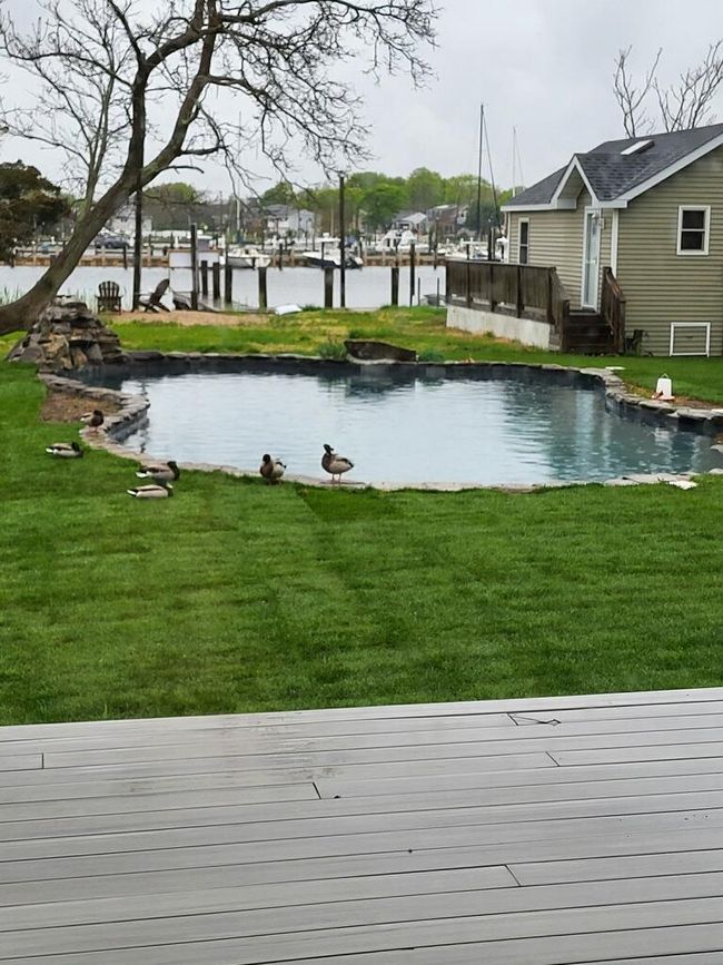 in ground pool | Image 44