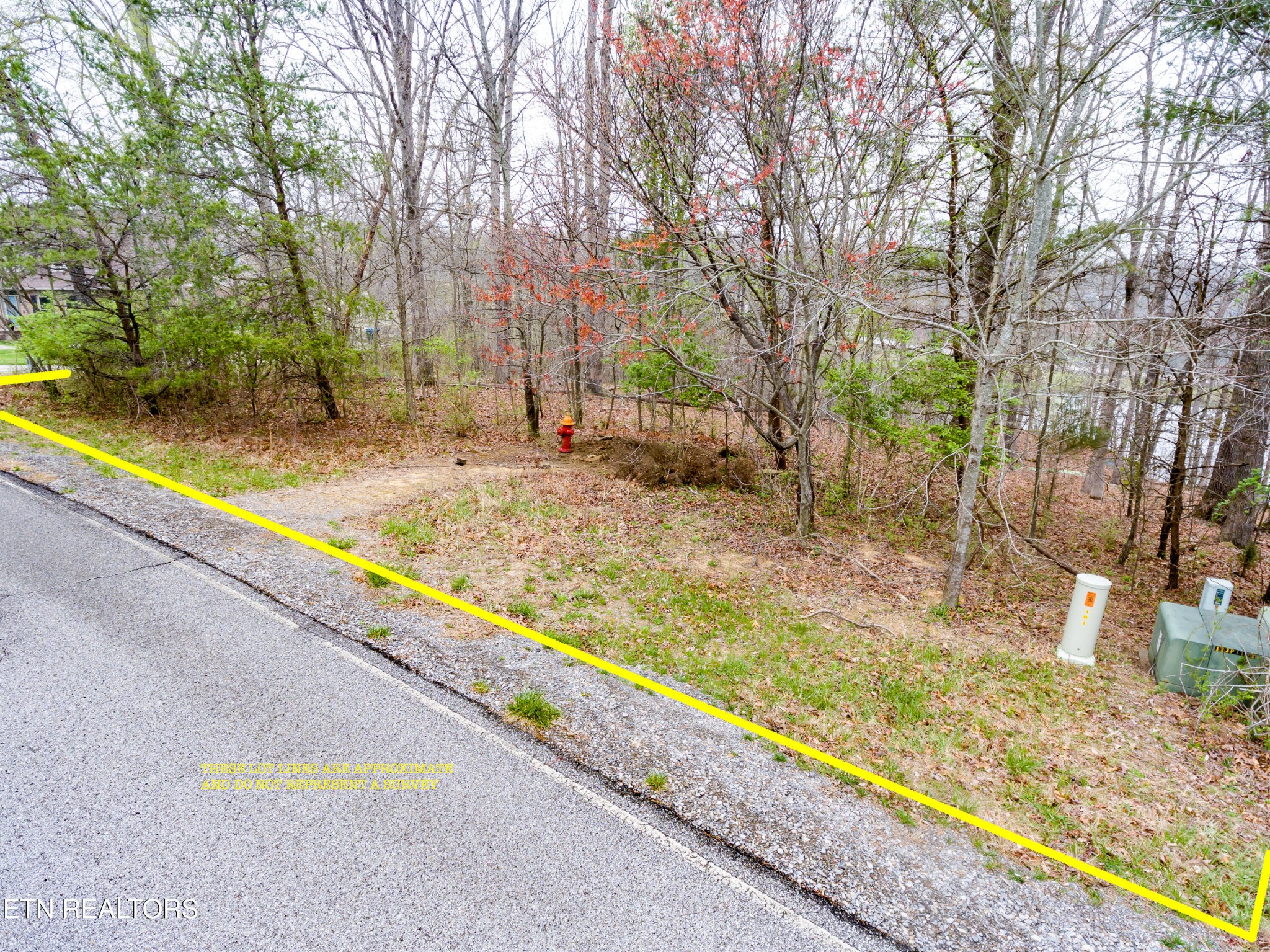 Land in Crossville 2