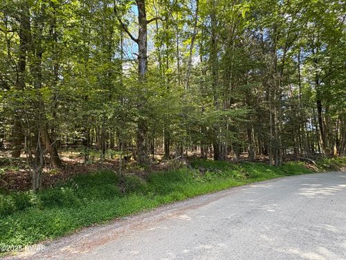 LOT 103 Wallenpaupack Dr, Greentown, PA, 18426-4103 | Card Image