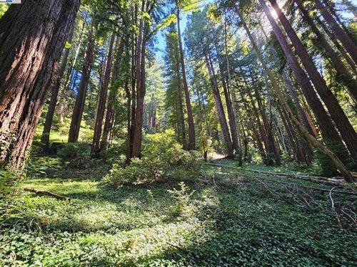 26 Old La Honda Rd, Woodside, CA, 94062-2614 | Card Image