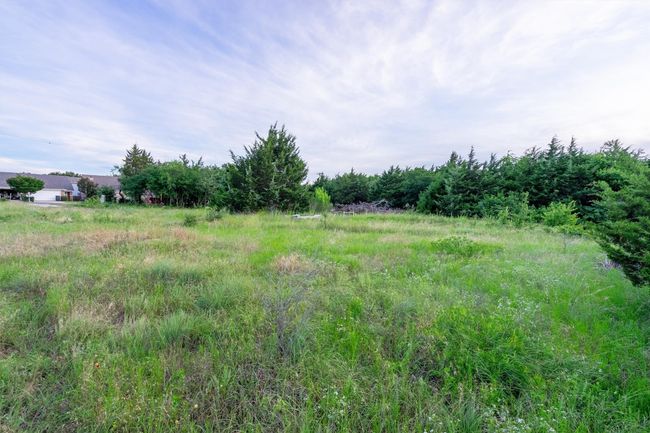 925 Walter Stephenson Rd, Home with 0 bedrooms, 0 bathrooms and null parking in Midlothian TX | Image 13