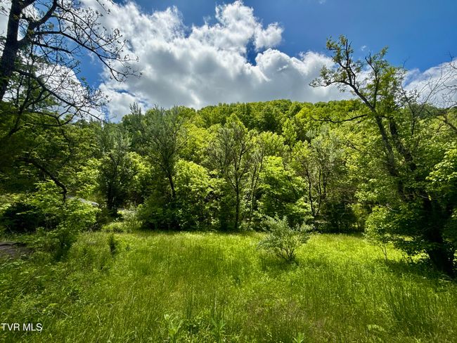 47 Tbd Enoch Rd, Home with 0 bedrooms, 0 bathrooms and null parking in Eidson TN | Image 10