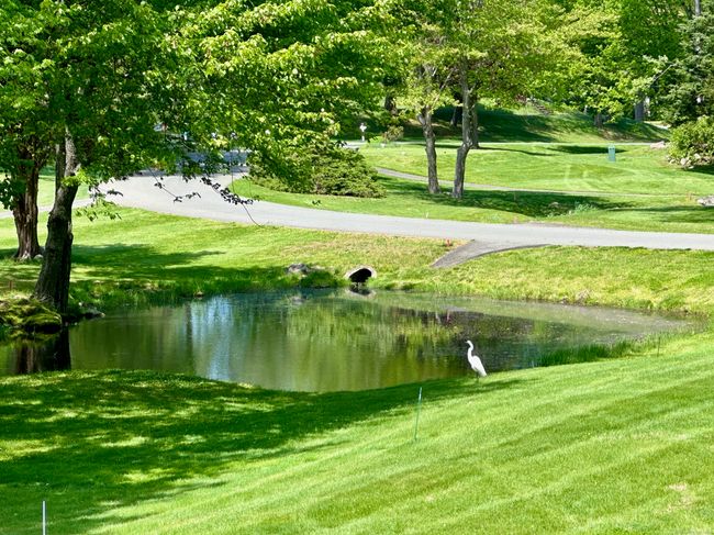 15 - 15 Silvermine Woods Road, Condo with 3 bedrooms, 5 bathrooms and 5 parking in Wilton CT | Image 26