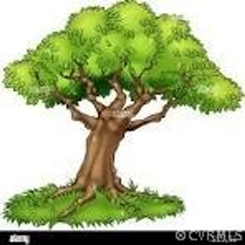 12012 Spiceley Rd, Ford, VA, 23850-2654 | Card Image