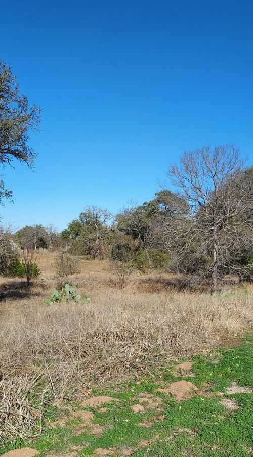 Lot 50 Pristine Pass, Buchanan Dam, TX, 78609 | Card Image