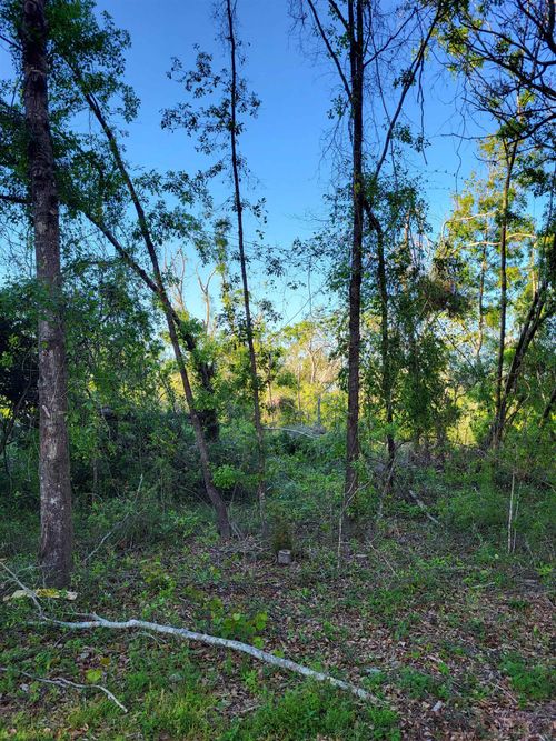 22 Canopy Lane, PERRY, FL, 32347 | Card Image
