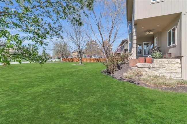 Grass has been edited | Image 41