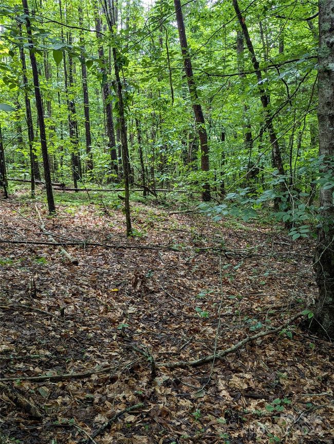 Easy to excavate here~~ | Image 13