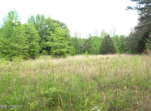 1015 Saulsbury Road, Falkner, MS, 38629 | Card Image