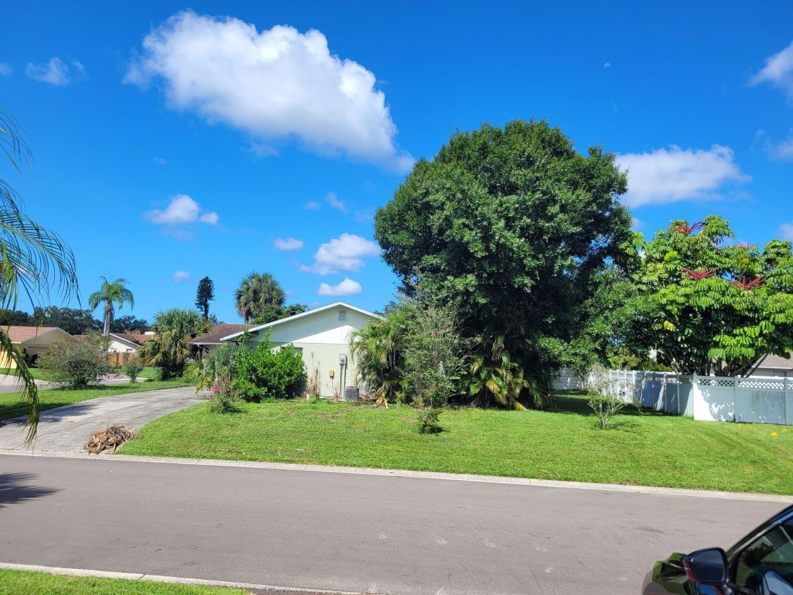 Vassar Ln, Sarasota, FL 34243