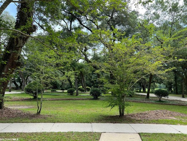 0 Cleyera Drive, Home with 0 bedrooms, 0 bathrooms and null parking in Magnolia Springs AL | Image 15