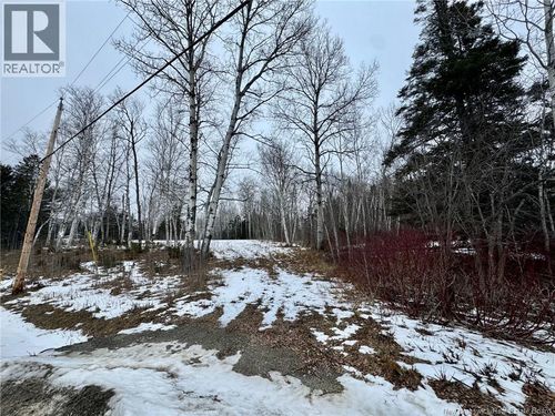 307 Doyleville Rd, Lorne, NB, E8G1H3 | Card Image