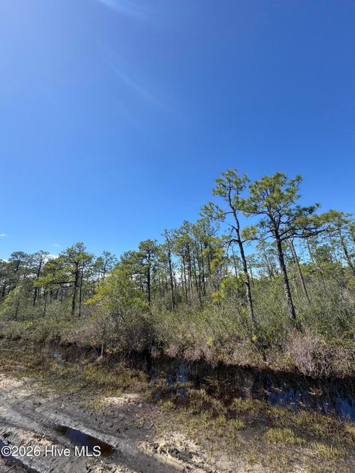 Lot 316 Columbus Rd, Boiling Spring Lakes, NC, 28461 | Card Image