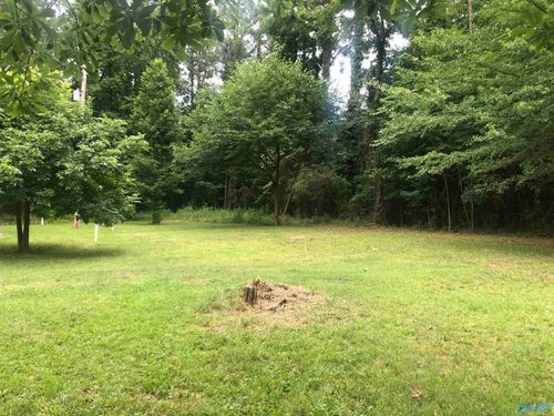 Lots 20 & 21 Moneys Bend Rd, Cedar Bluff, AL, 35959 | Card Image