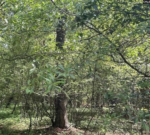 00 S Michelle Street, Eutawville, SC, 29408 | Card Image