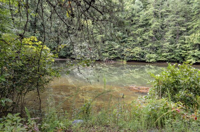 1051 Ducks Nest Rd, House other with 2 bedrooms, 2 bathrooms and null parking in Turtletown TN | Image 13