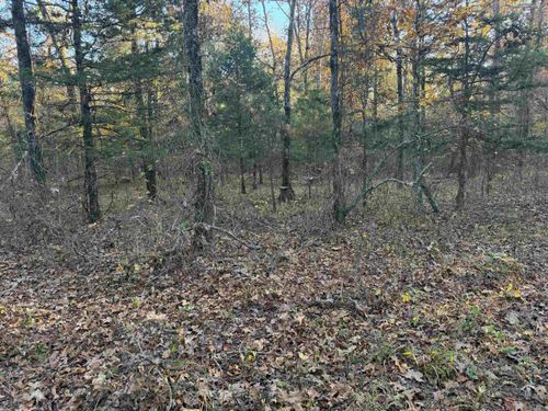 9999 Easement Road, Cove, AR, 71937 | Card Image