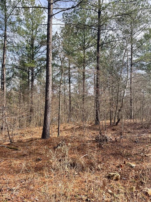 Land in Broken Bow 3