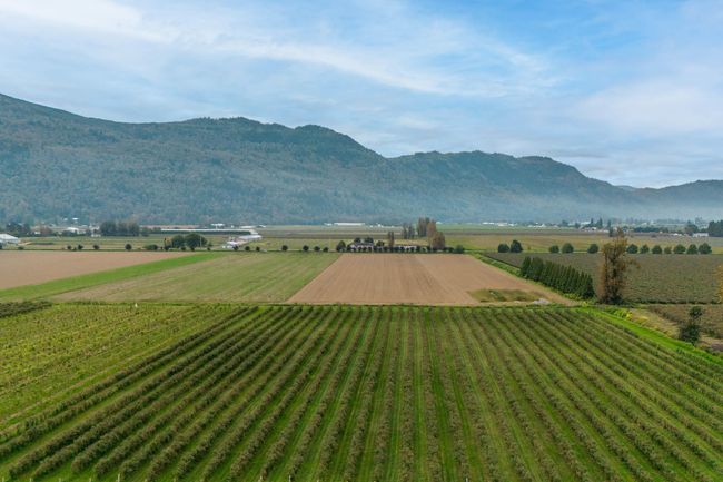 Mountain view with rural landscape and abundant farmland | Image 7