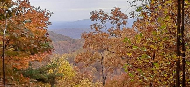 15 Dogwood Rd, Home with 0 bedrooms, 0 bathrooms and null parking in Moravian Falls NC | Image 5