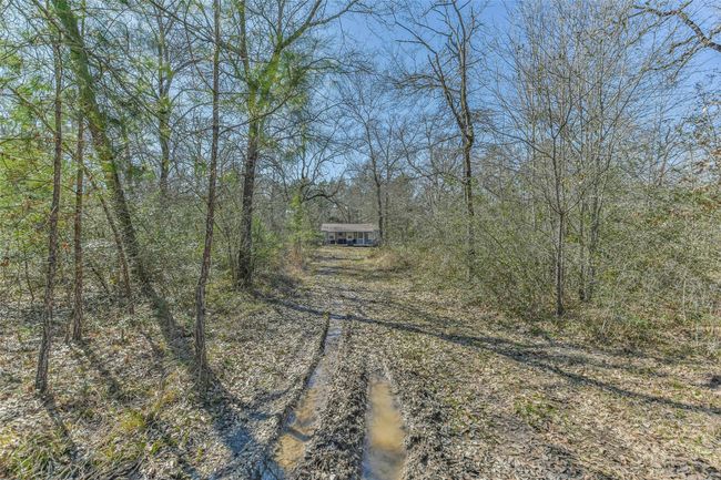 35 Old Sign Rd, Home with 1 bedrooms, 1 bathrooms and null parking in Midway TX | Image 15
