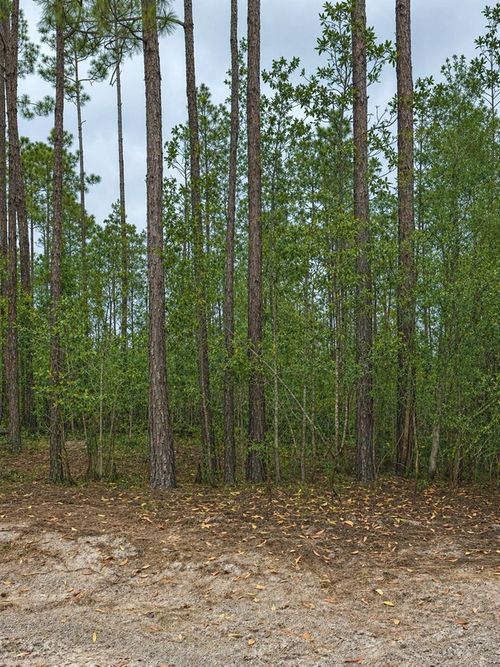 TBD Nw 2nd Ave, Palatka, FL, 32177 | Card Image