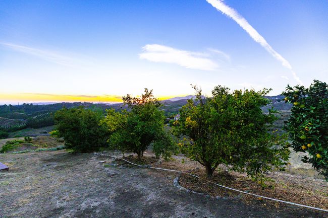 8420 Waters Rd-Moorpark-16 | Image 21