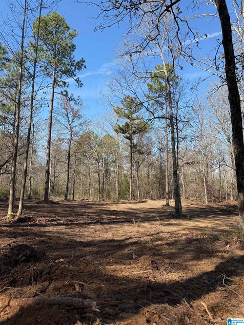 8-089 Mckesie Street, Riverside, AL, 35135 | Card Image