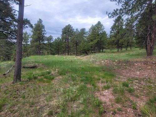 24653 Outback Trl, Hermosa, SD, 57744-7511 | Card Image