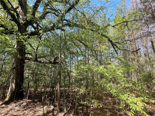 0 Nation Rd, Deville, LA, 71328 | Card Image