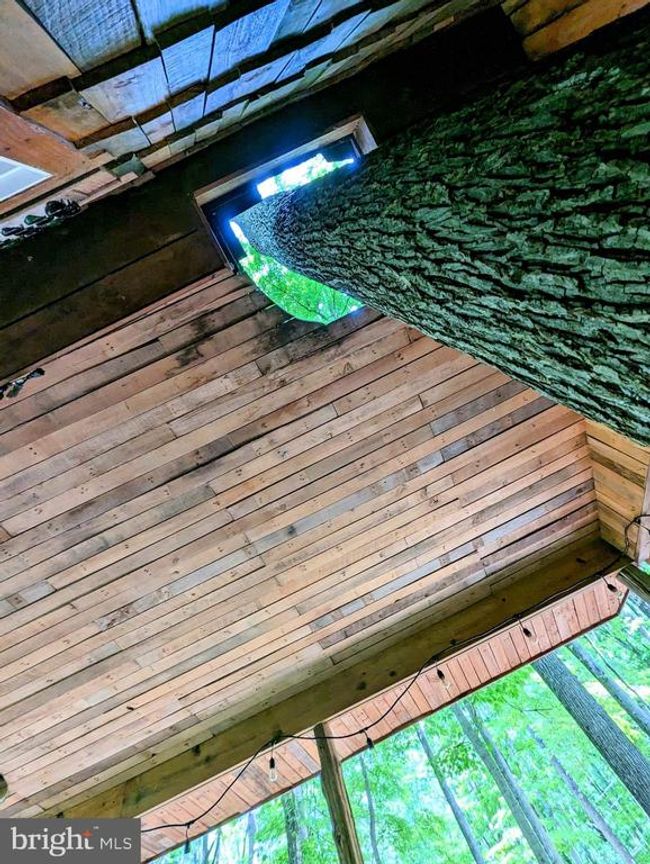 326 Preacher Ln, House other with 1 bedrooms, 1 bathrooms and null parking in Great Cacapon WV | Image 67