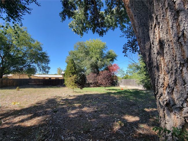 Back Yard | Image 29