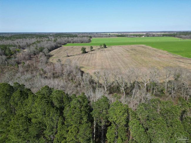 5400 Rockaway Creek Rd, Home with 0 bedrooms, 0 bathrooms and null parking in McDavid FL | Image 4