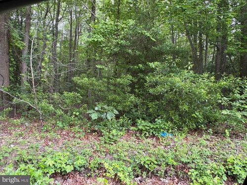 43-1-2a-00 Bogey Neck Rd, Heathsville, VA, 22473 | Card Image