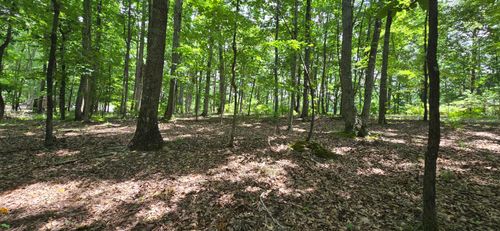 300 Canaan Lane, Rising Fawn, GA, 30738 | Card Image